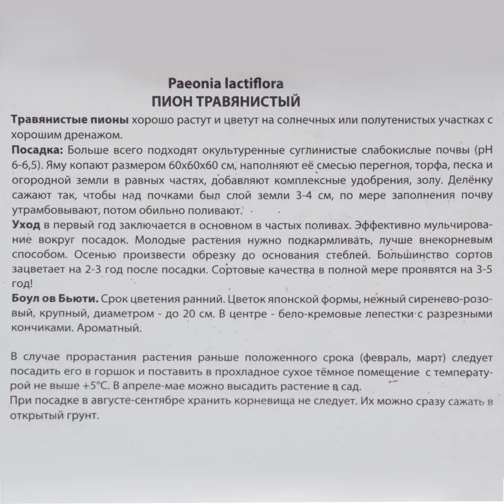 Пион травянистый «Боул оф Бьюти» 81945474 STLM-2144615 Santreyd  - Вид №2