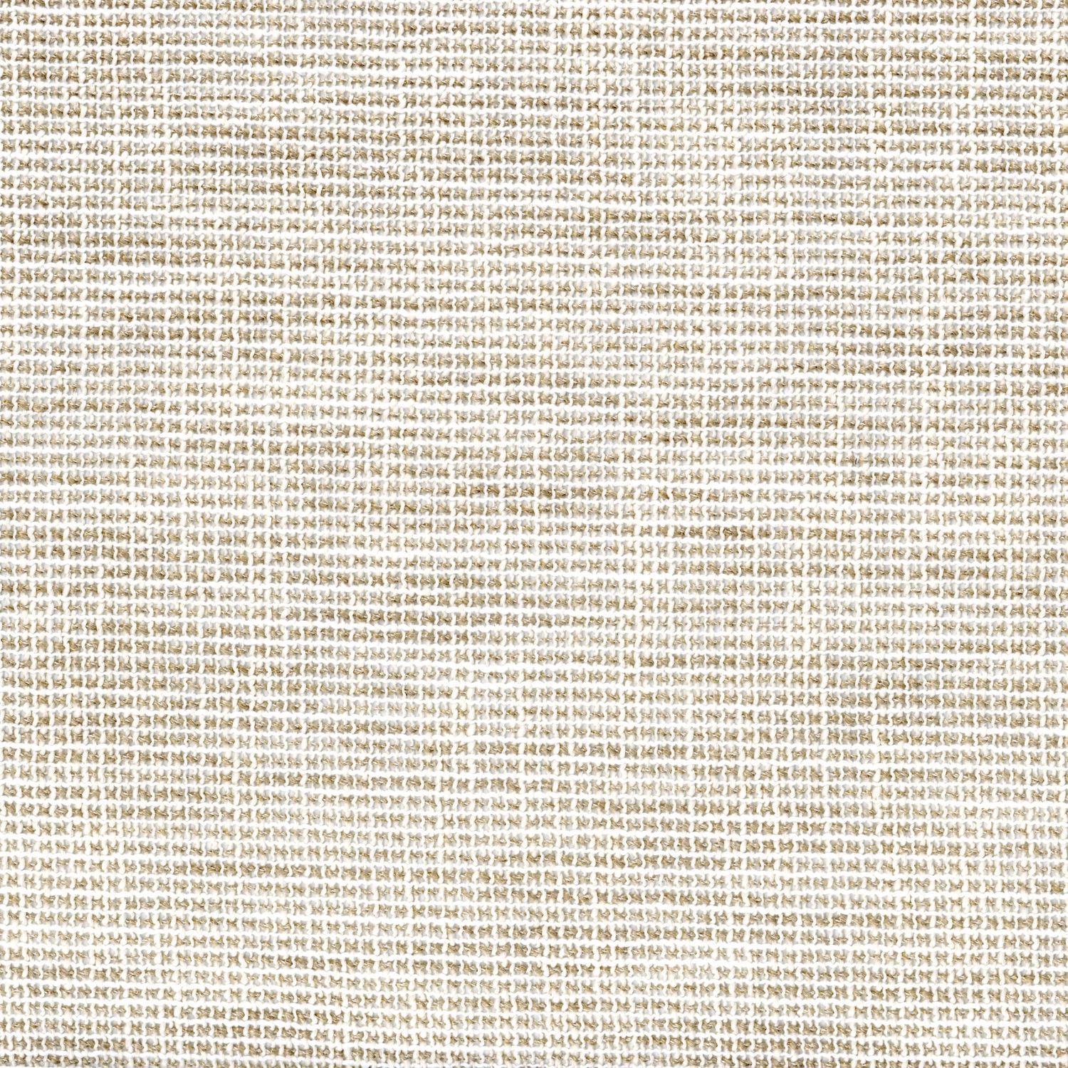 Однотонная ткань из вуали для штор Casamance Grand voile ARCH-00041522 - Вид №4