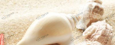 Сиерра Панно Тип 3 20х50 Керамин sun-id-331692