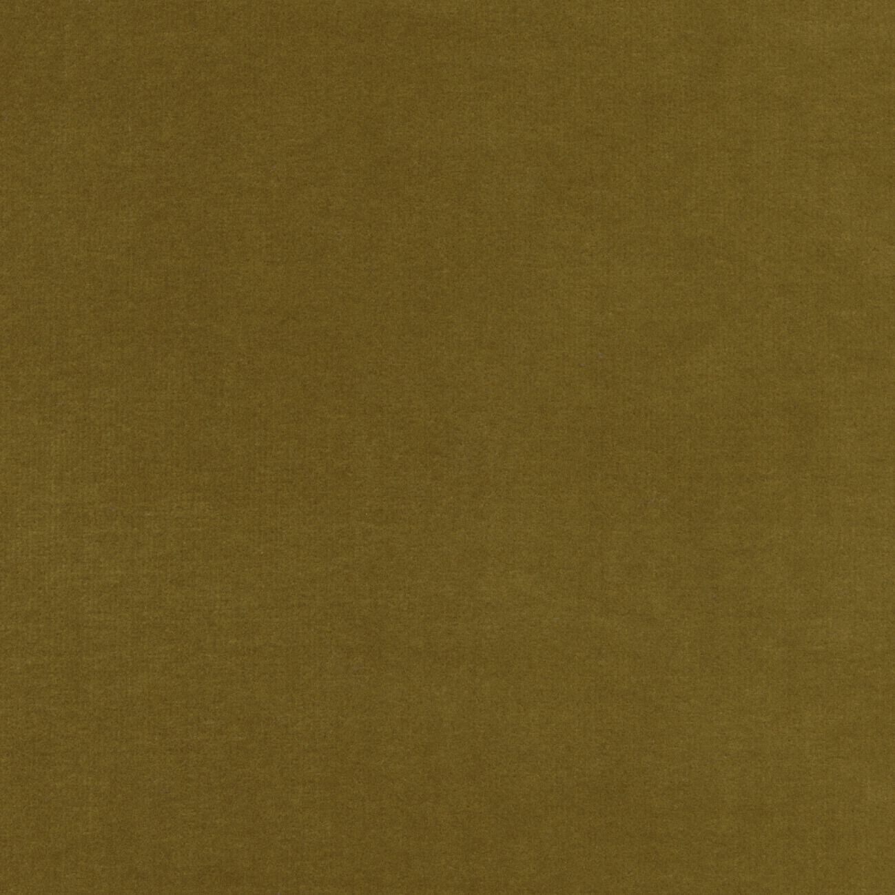 Бархатная однотонная ткань Élitis Palatine ARCH-00143253 - Вид №40