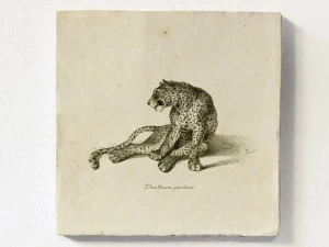 Groovy Magnets Настенный декоративный предмет из керамики Tiles M-tile-pa