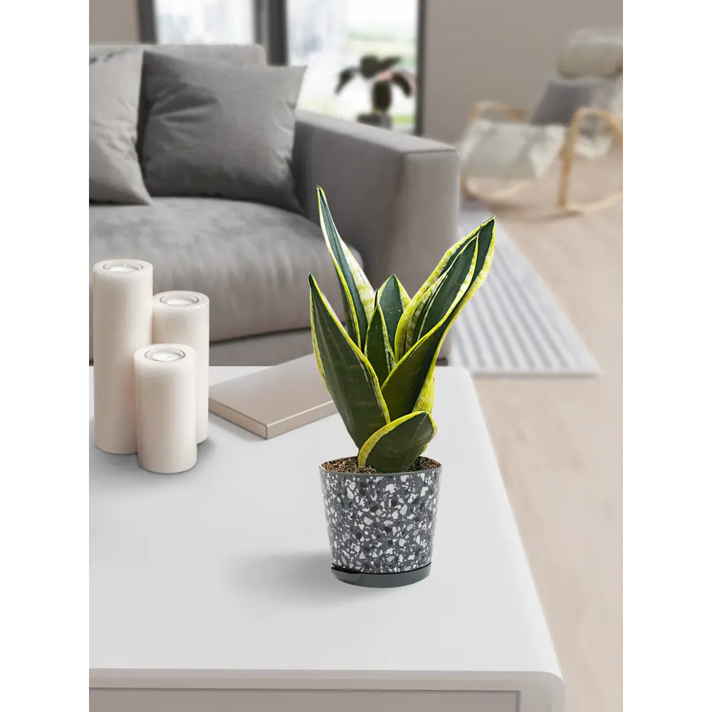 Горшок для цветов Stone Flower ø12 h11 см v0.75 л пластик черный Santreyd STLM-2047083 - Вид №3