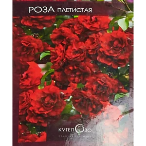 Роза плетистая Красный Маяк ø15 h30 см 85589093 STLM-2117704