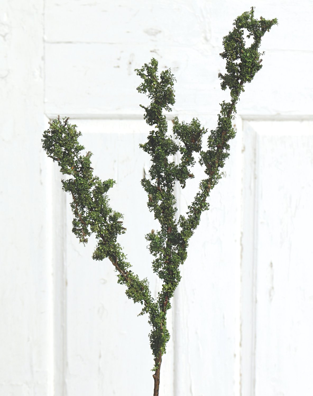 3413 883 a3 Спрей Искусственный мох, 80 см, зеленый H-andreas  - Вид №2