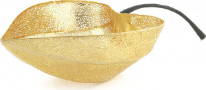 10541978 Michael Aram Чаша-лист Michael Aram "Физалис" 46x23см (золотистая) Сталь нержавеющая