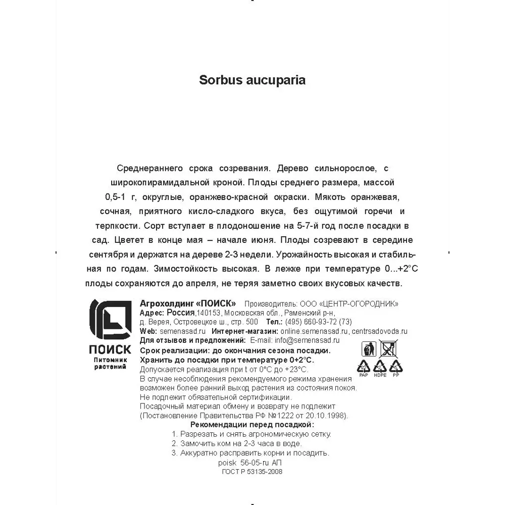 Рябина обыкновенная Невежинская h200 см в сетке Поиск Инвест 84399302 STLM-2019593 Santreyd  - Вид №2