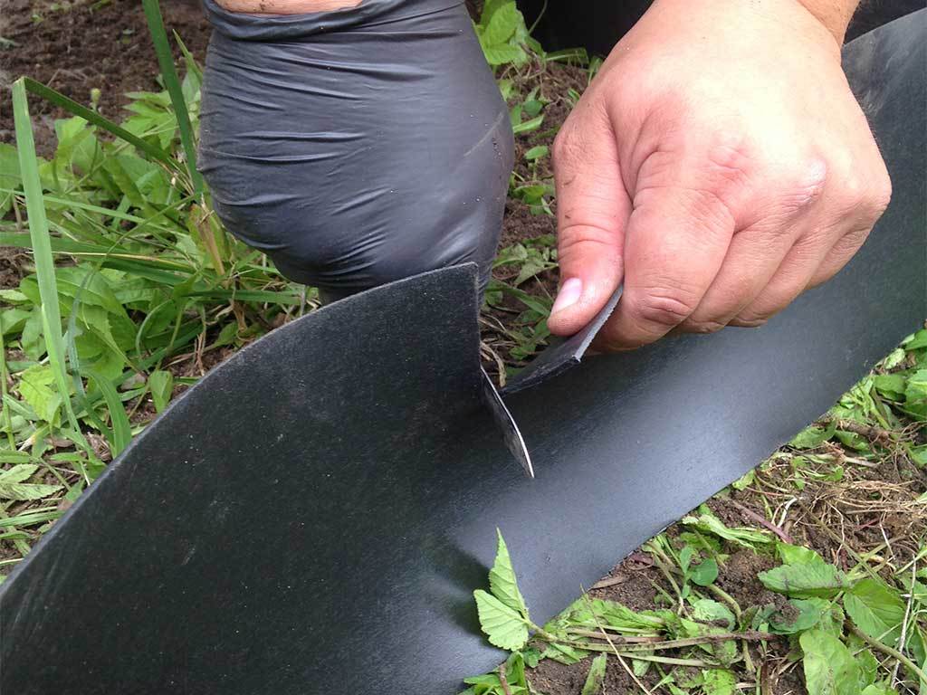 Лента бордюрная 150 мм x 10 м, 2 мм ГеоПластБорд GPBST-53 - Вид №5