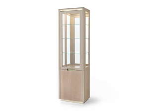Витрина из дерева и стекла