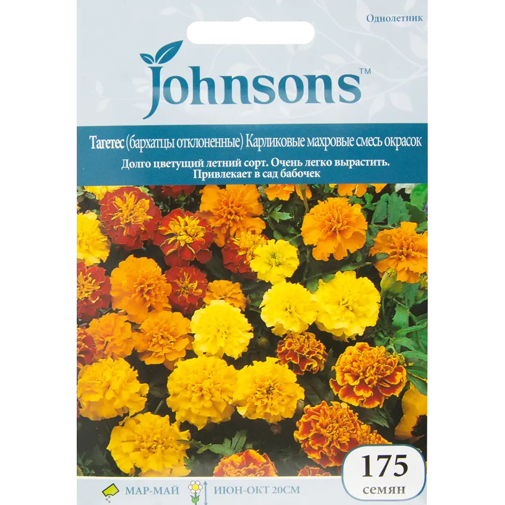 Бархатцы французские Карликовые махровые 13877098 STLM-2107492 JOHNSONS 