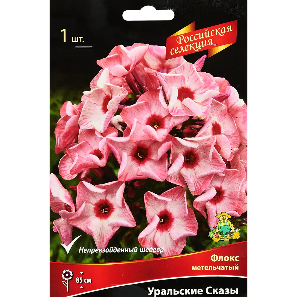 Флокс метельчатый Уральские сказы 89351891 STLM-2141126 ПОИСК 