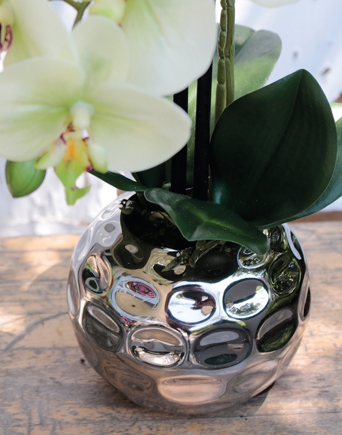 2772 788 a3 Пластиковая орхидея Phalaenopsis, 2-х кратная, горшечная, 45 см, real touch, бежево-зеленая H-andreas  - Вид №6