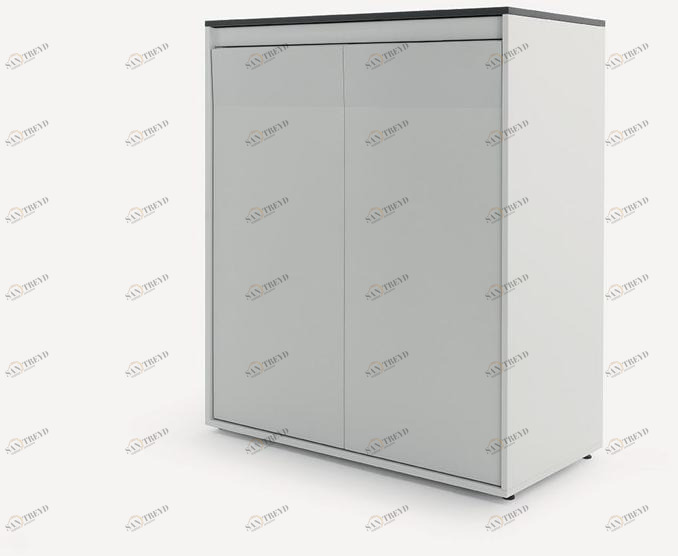 Fantin Офисный шкаф металлический с распашными дверями Ali sun-id-1451020