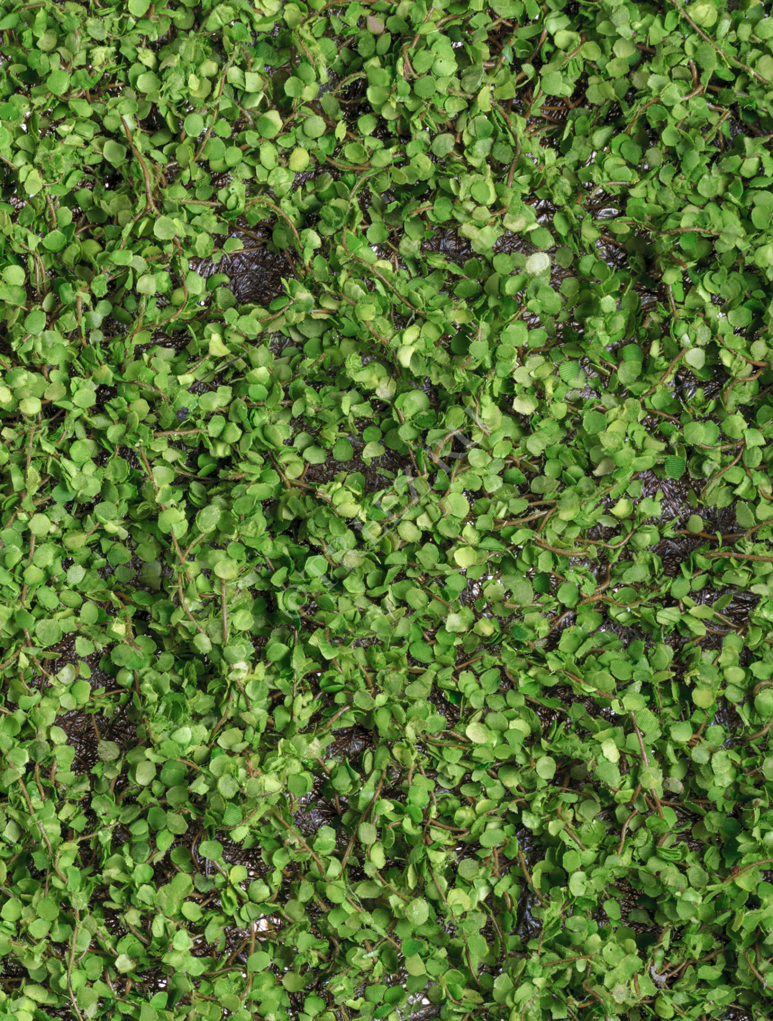 20.0818108M Мох рясковый (полотно) прямоугольник Цветочная коллекция 