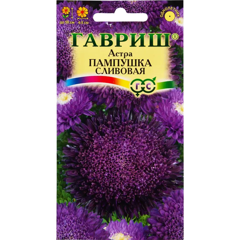 Астра «Пампушка сливовая» помпонная, 0.3 г 82097825 STLM-2083322 ГАВРИШ 