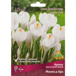 Крокус Жанна Д'Арк от ПОИСК - белые крупные цветы, 10 луковиц 85204842