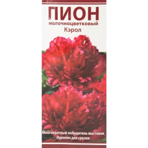 Пион молочноцветковый Кэрол разбор 2-3 88294985 STLM-2044934