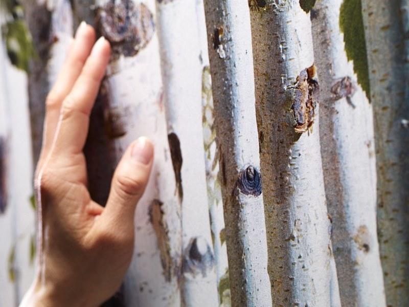 Koziel Обои на стену  8888-154  - Вид №5