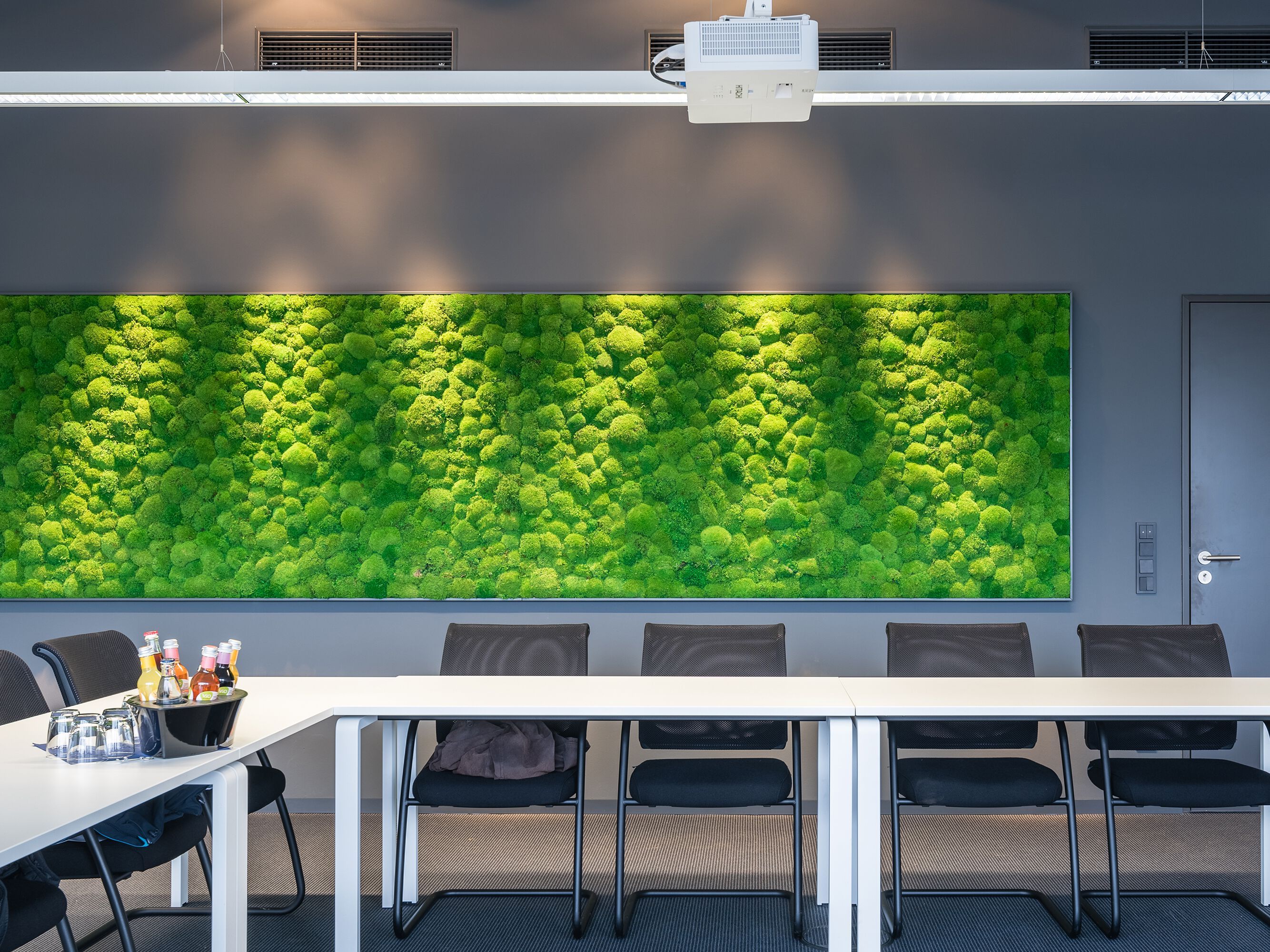 Растительная стена из мха Freund GmbH ARCH-00023492 - Вид №9