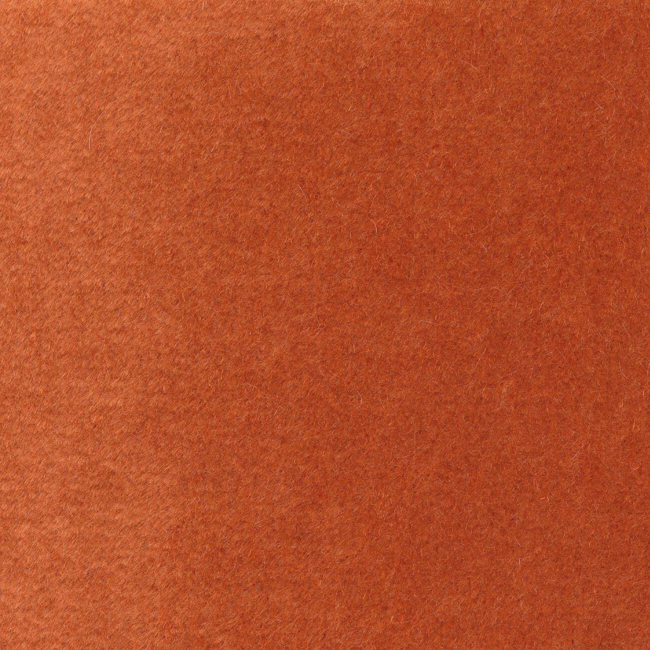 Однотонная ткань из мохера Élitis Pur mohair ARCH-00047028 - Вид №36