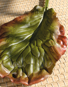 5038 883 a3 Лист Bergenia fake, 41см, зеленый H-andreas