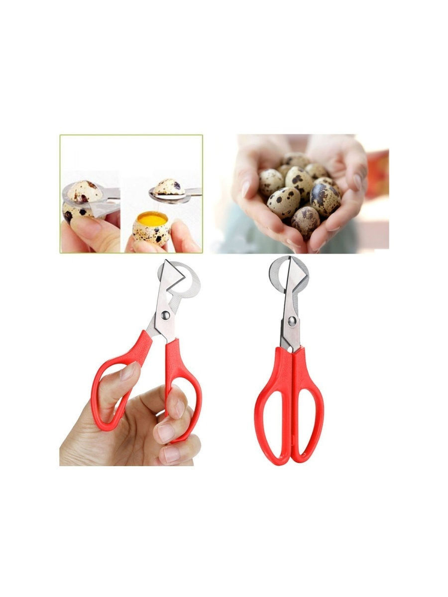 2366 Ножницы для вскрытия перепелиных яиц LAB.Space  - Вид №1