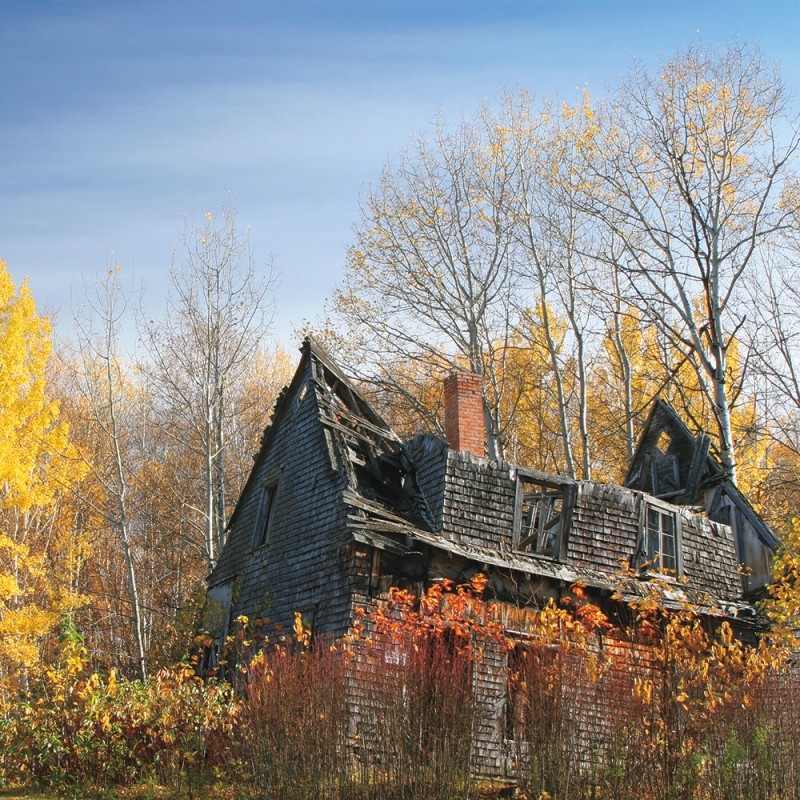 0691/CX38 Картина 0691 Adriani e Rossi  - Вид №1