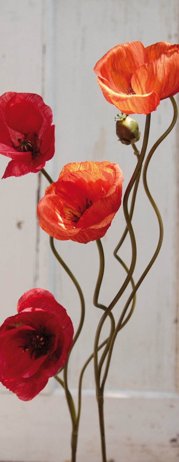 4562 334 a3 Пластиковые маки, 2 цветка, 1 бутон, 75 см, оранжевые H-andreas 
