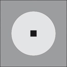 Elmo 360 Ghidini Elmo .05 Темно-Cерый (Матовый)  - Вид №2