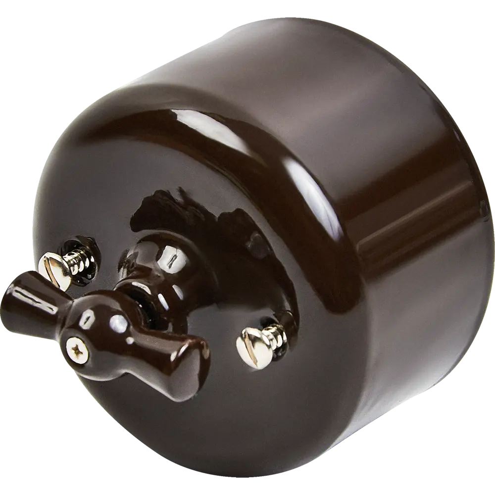 Выключатель накладной Electraline 1 клавиша цвет керамика цвет коричневый 89255193 STLM-2174496 Ришелье