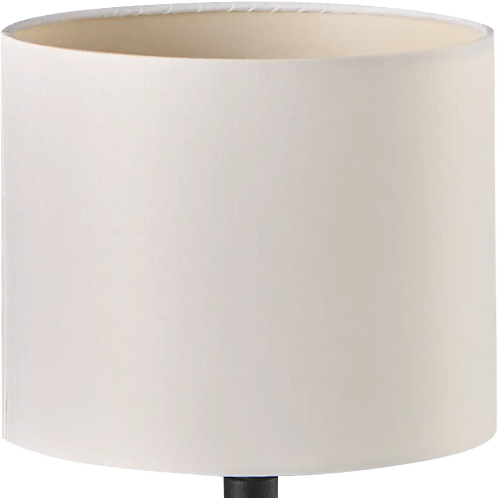 Настольная лампа Eglo «Carlton2» 1xE14x60 Вт, цвет чёрный/белый 18586601 STLM-2160234  - Вид №3
