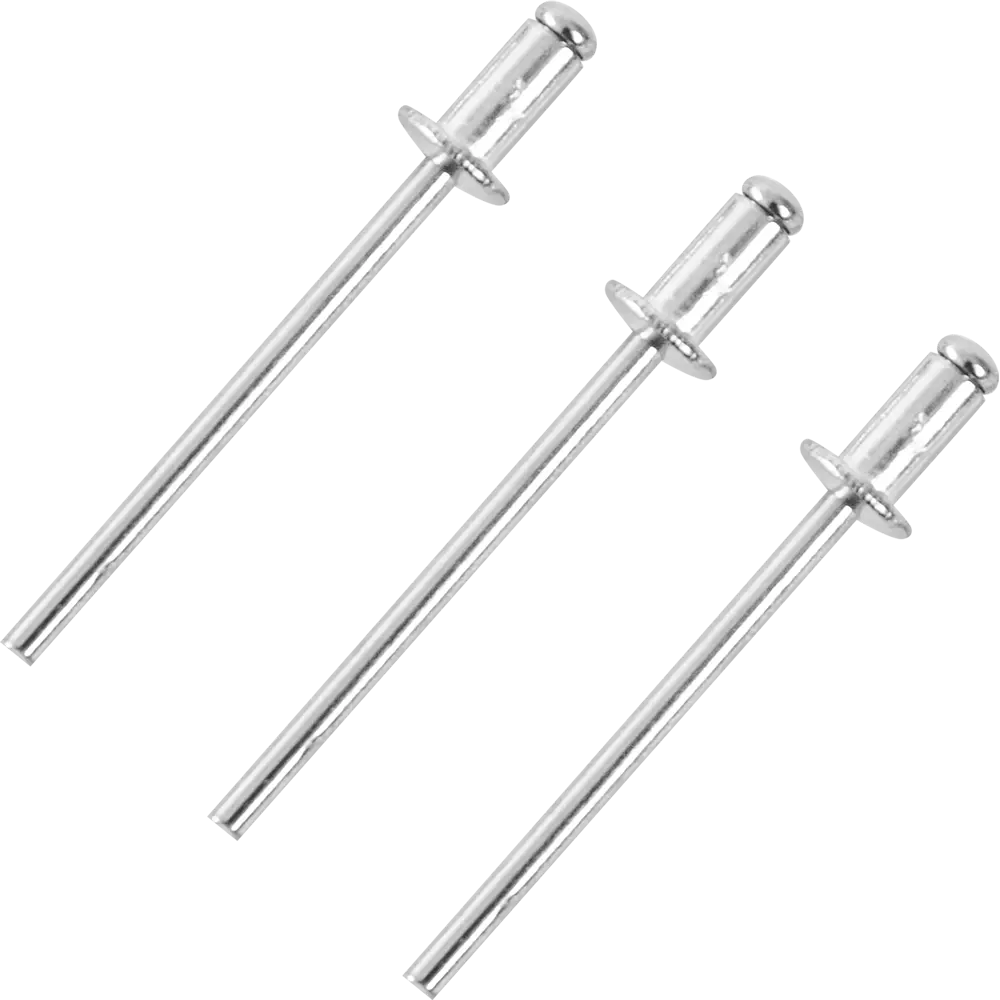 Заклепка 3.2x6 мм, 50 шт. 86487291 STLM-2184861 Santreyd 