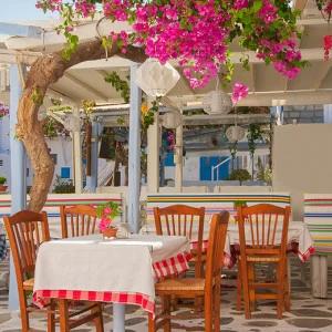 B1-016 Фотообои DIVINO Collection B 2.7х2 м