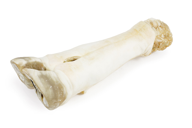 Т00009207 Лакомство для собак Нога говяжья TITBIT  - Вид №1