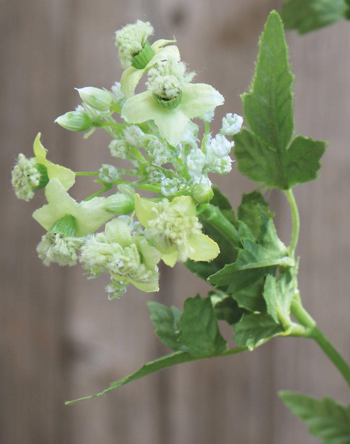 4095 873 a2 Усик искусственного чеснока, 3-х кратный, 60 см, зеленый H-andreas  - Вид №5