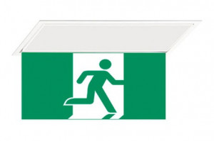 DST-290 Hydra pennant Daisalux Светильники аварийные Белый