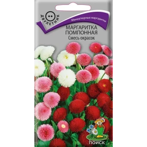ПОИСК Маргаритка помпонная Сильвер фолс - миниатюрное украшение сада 89401235