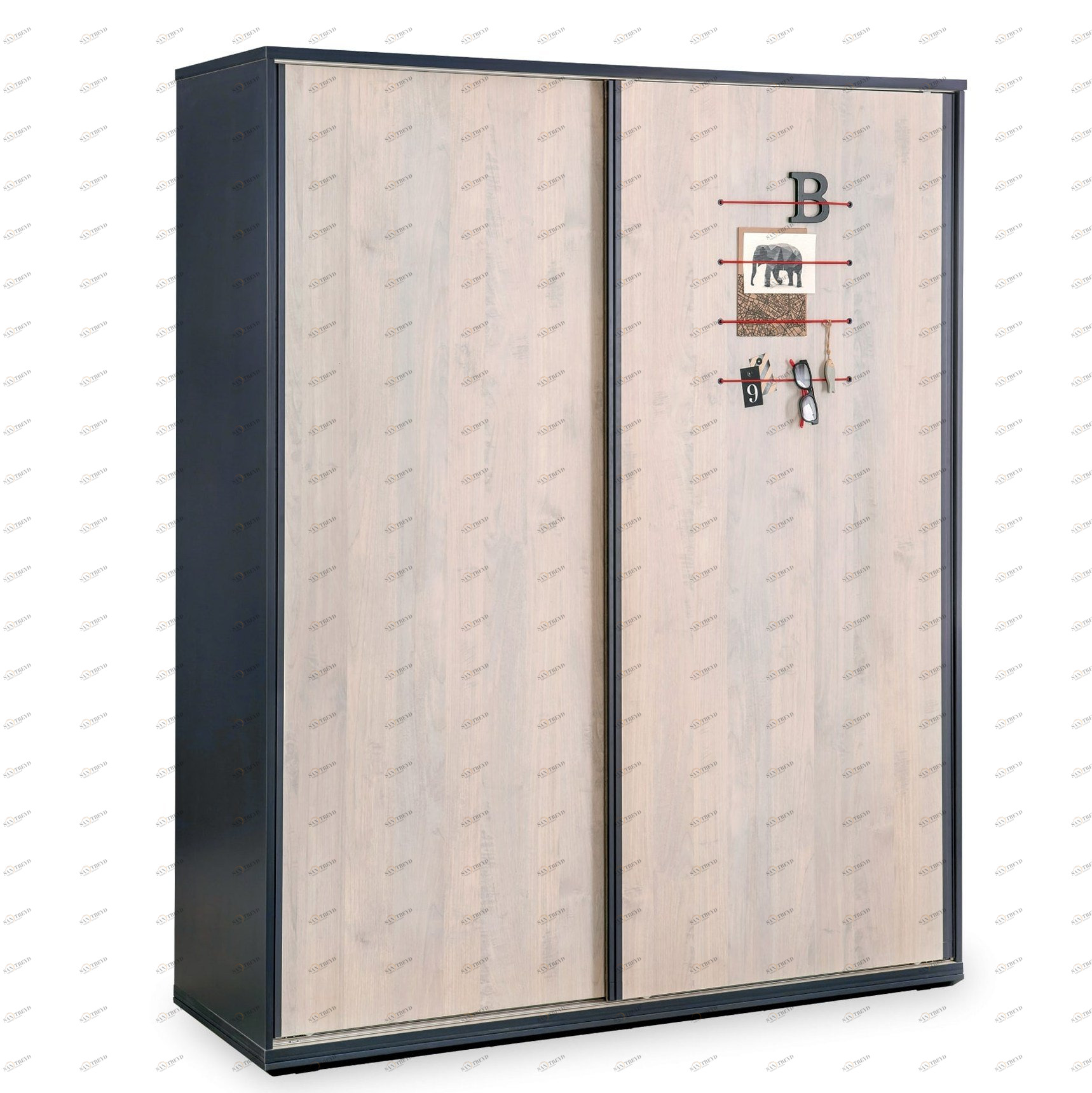 Шкаф-купе двухдверный Trio CILEK TRIO 00-3832631 Серый Santreyd