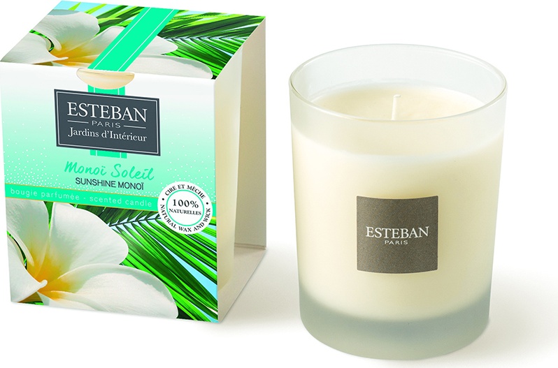 10621852 Esteban Арома свеча 170г "Цветок Таити" Стекло 