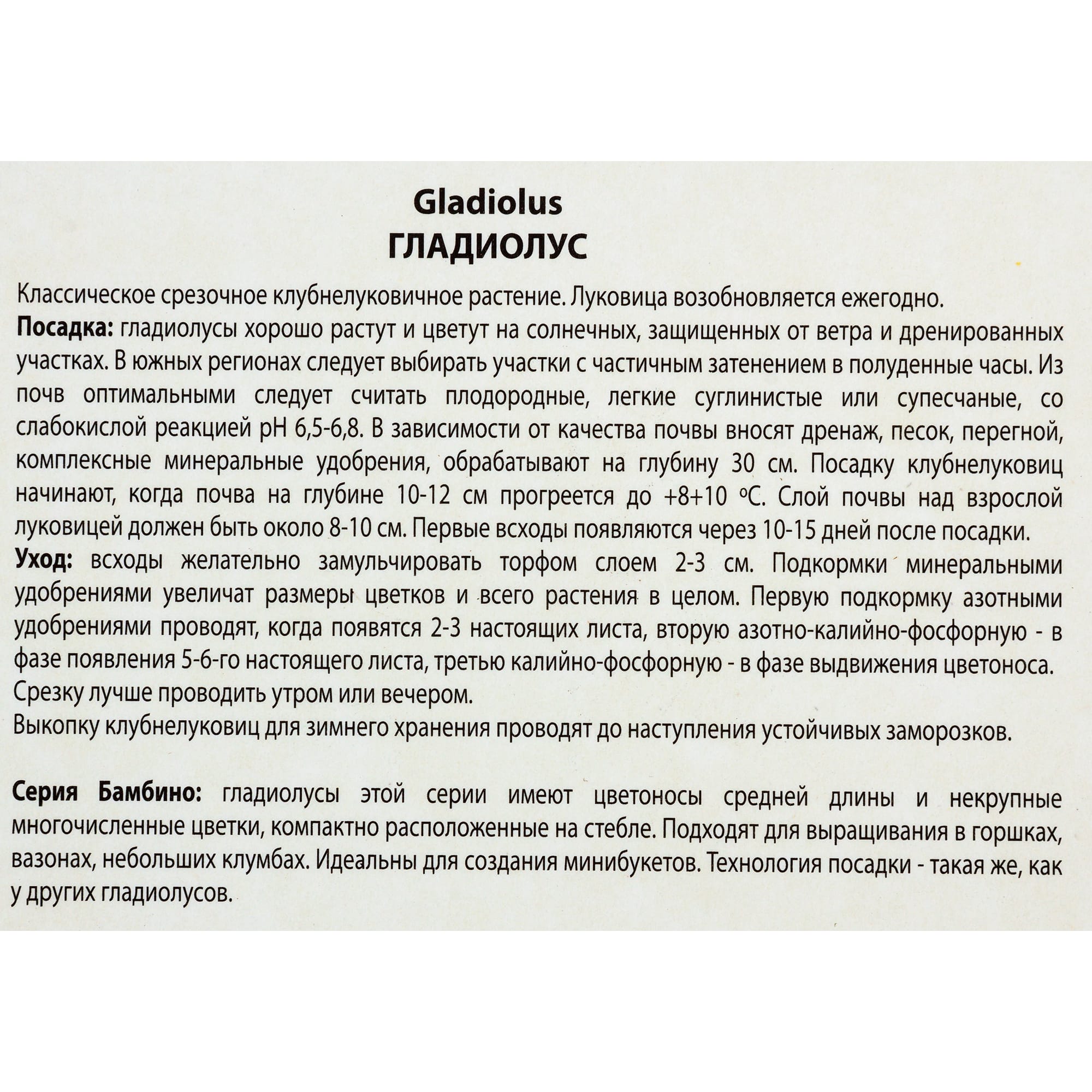 82118690 Гладиолусы бамбино «Васто», размер луковицы 10/12, 1 шт Santreyd  - Вид №2