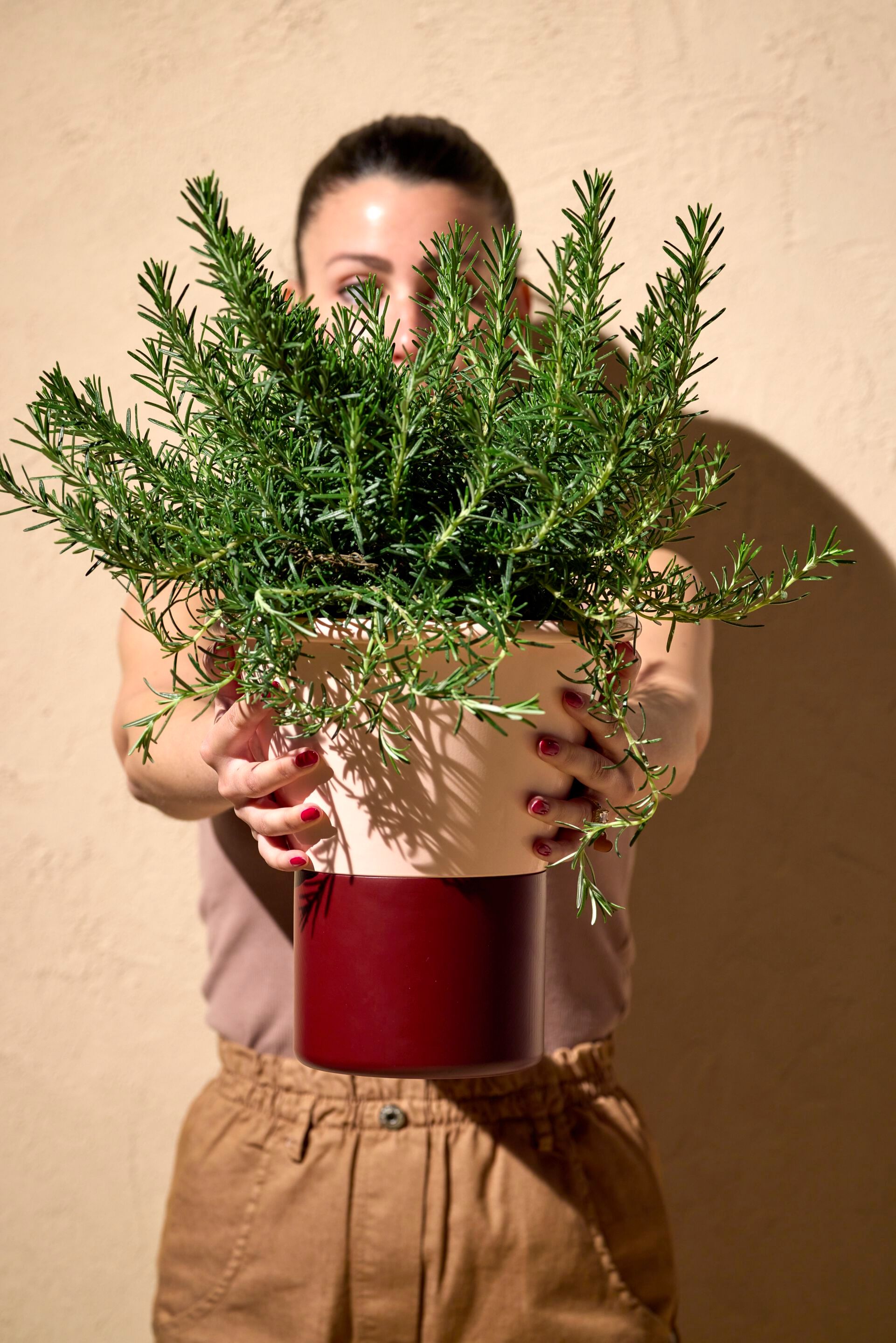 Алюминиевый круглый садовый горшок S-CAB Мимоза ARCH-00133577 - Вид №6