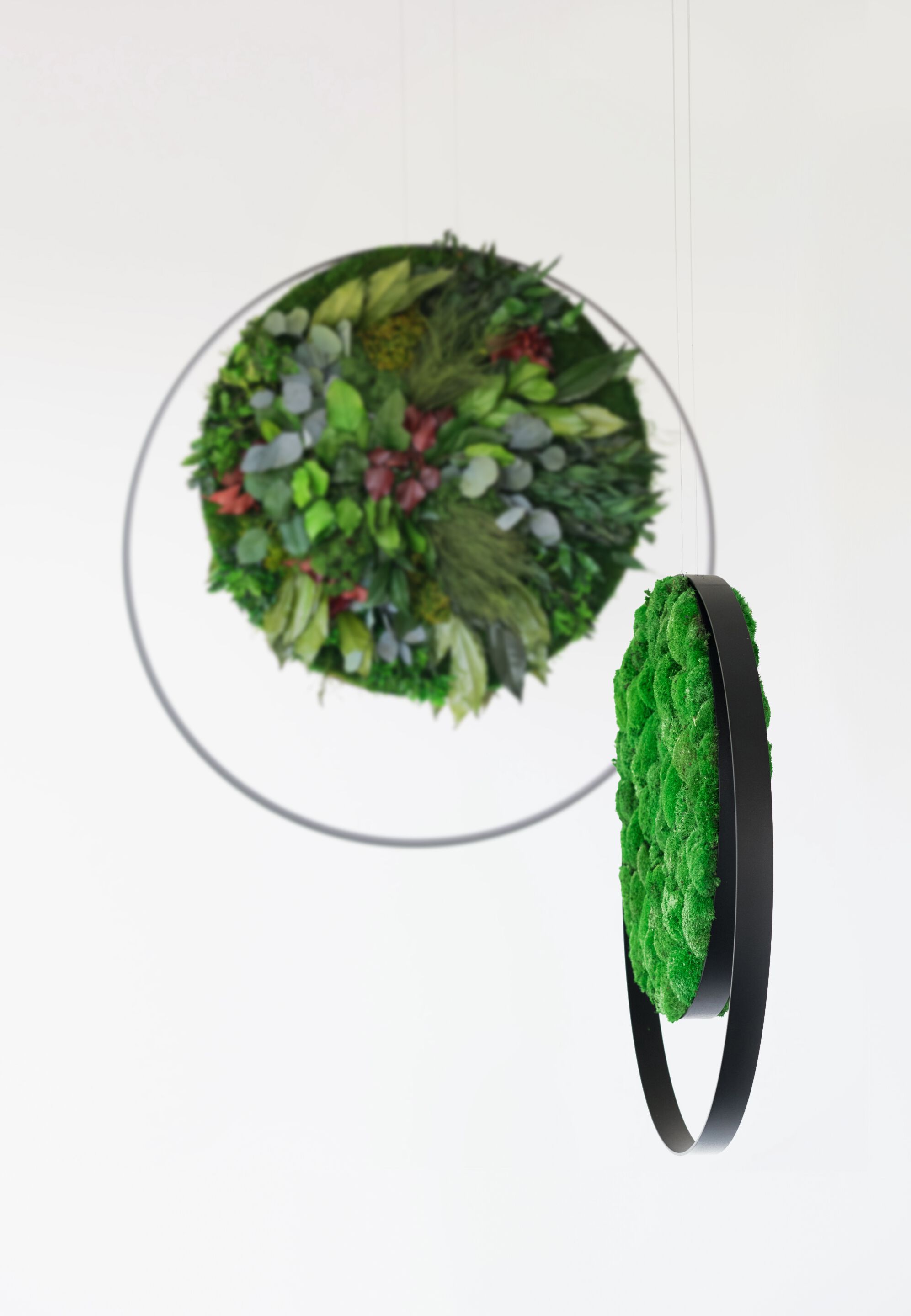 Подвесная акустическая панель GREENMOOD RINGS ARCH-00006794 - Вид №9