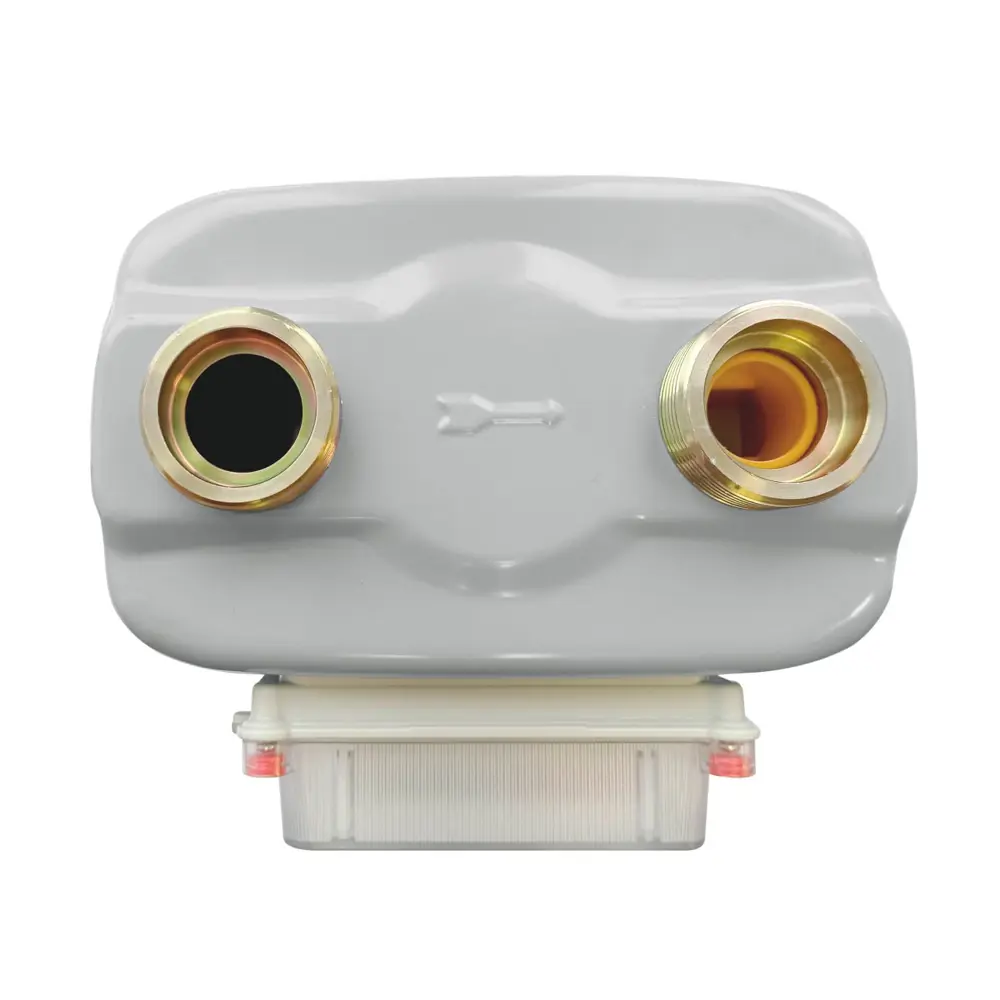 Пульсар G2.5 - газовый счетчик с импульсным датчиком 89355300 STLM-1391794 - Вид №3