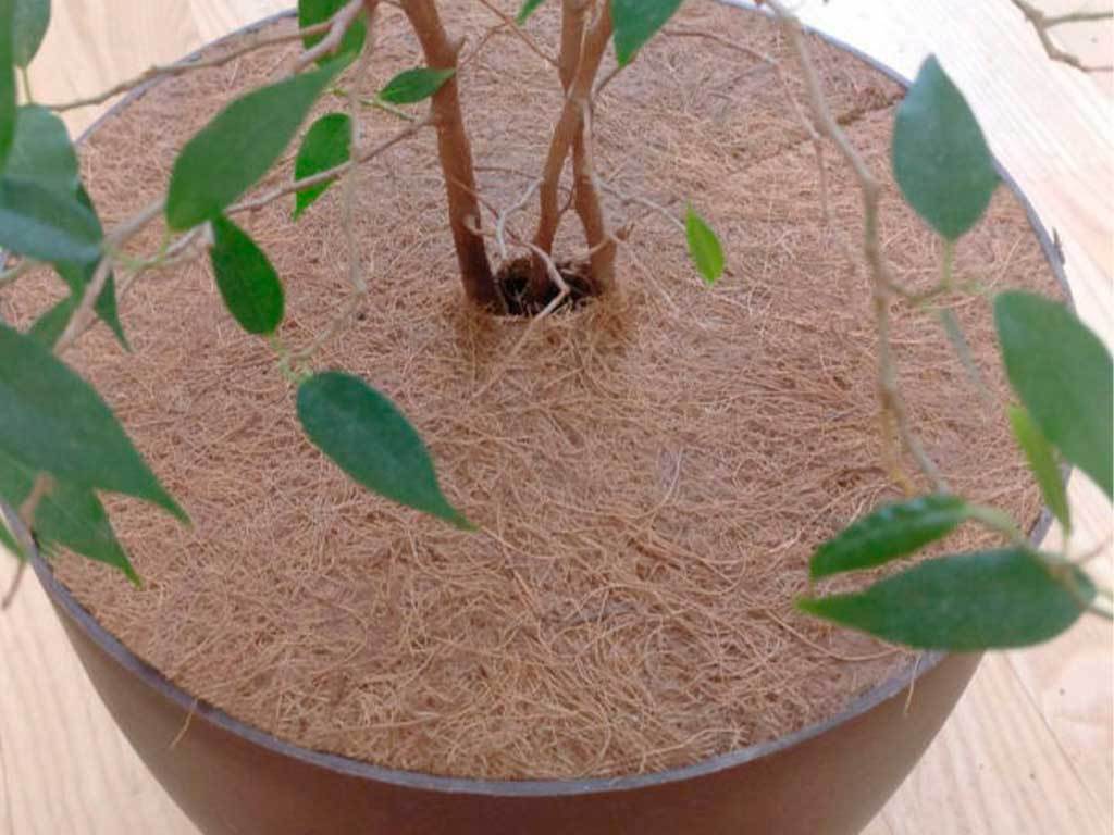 Круг приствольный Мульчаграм 40 см, комплект - 5шт ГеоПластБорд GPBST-248 - Вид №6