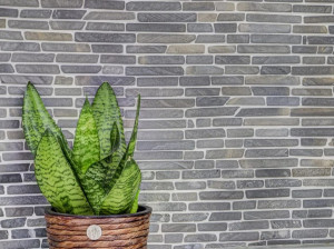 Черная мраморная отделка