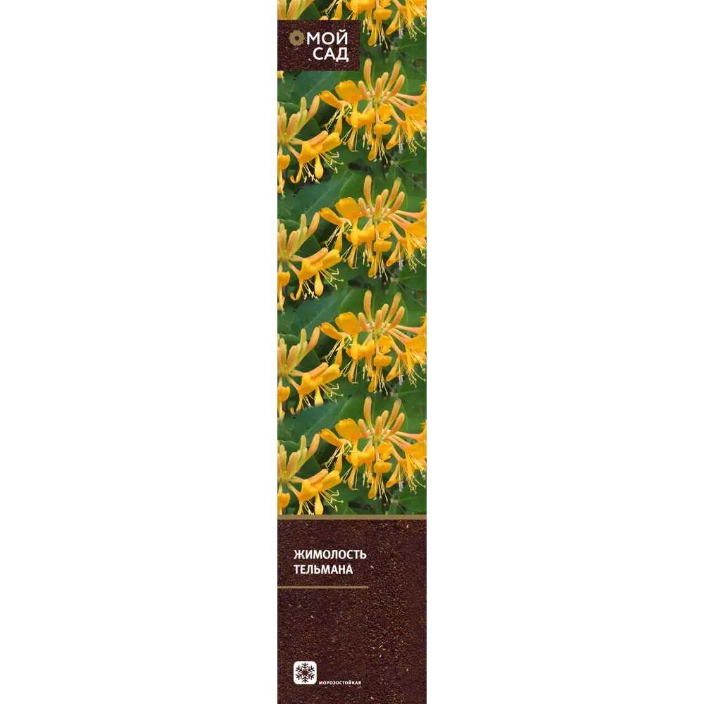 Вьющиеся растения микс h20 см 89406836 STLM-2065945 Santreyd  - Вид №3