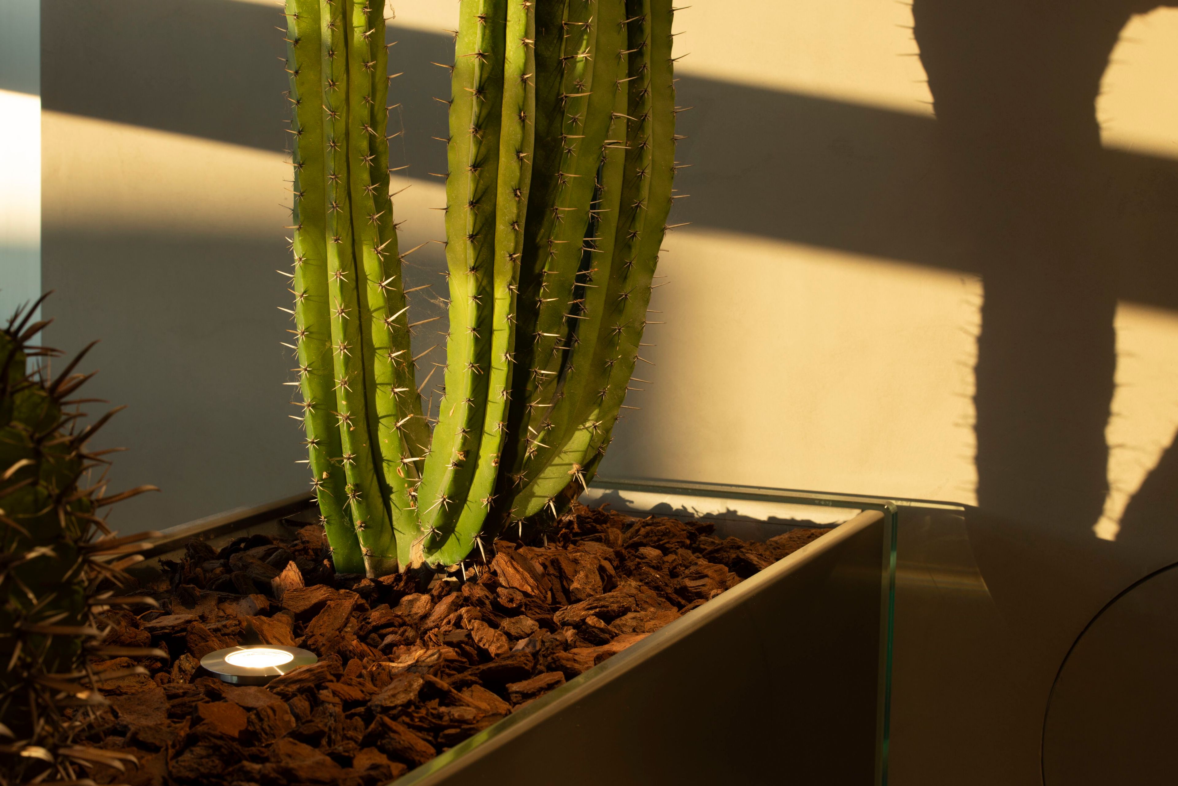 Утопленный напольный светильник Сид TARGETTI Юпитер ARCH-00058350 - Вид №1