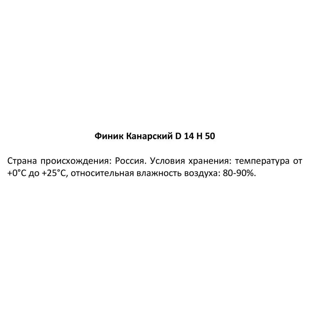 Финик Канарский от Santreyd — элегантная пальма для вашего интерьера 87620881 STLM-0074565 - Вид №3