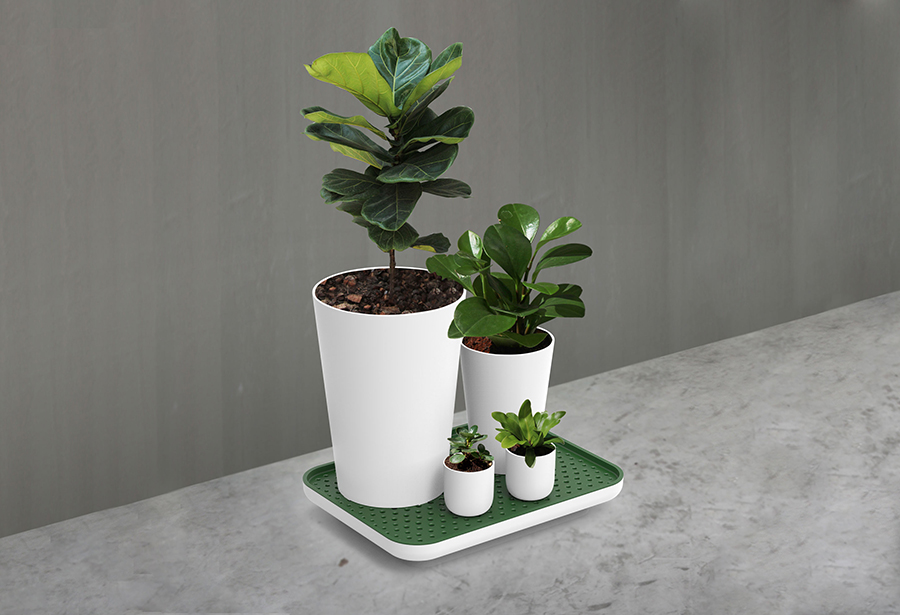 QL10309-WH-GY Лоток для полива растений oasis tray белый Qualy  - Вид №6