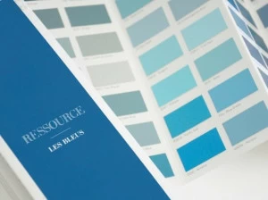 Ressource Моющаяся краска на водной основе Les bleus