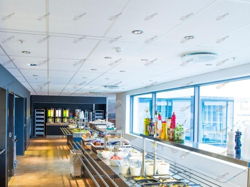 Rockfon Акустические потолочные панели из минеральной ваты для медицинских учреждений sun-id-1428842